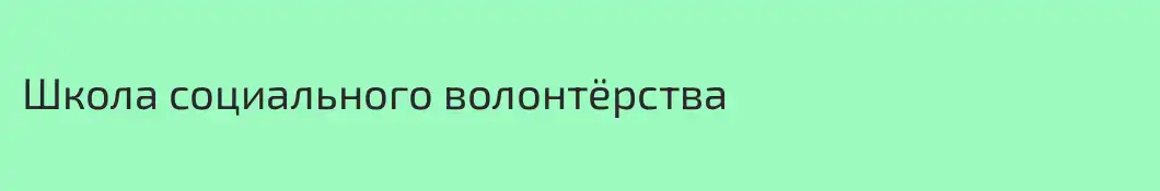 Школа социального волонтёрства